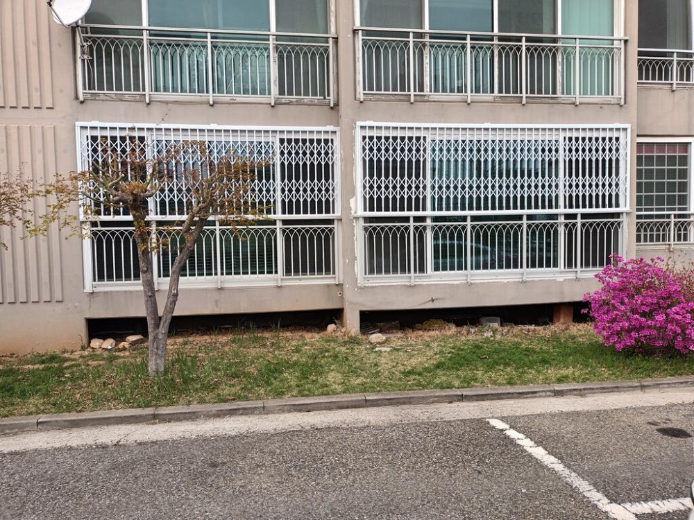 51567e4775340ca8440e629b14552104_1680409484_9168.jpeg